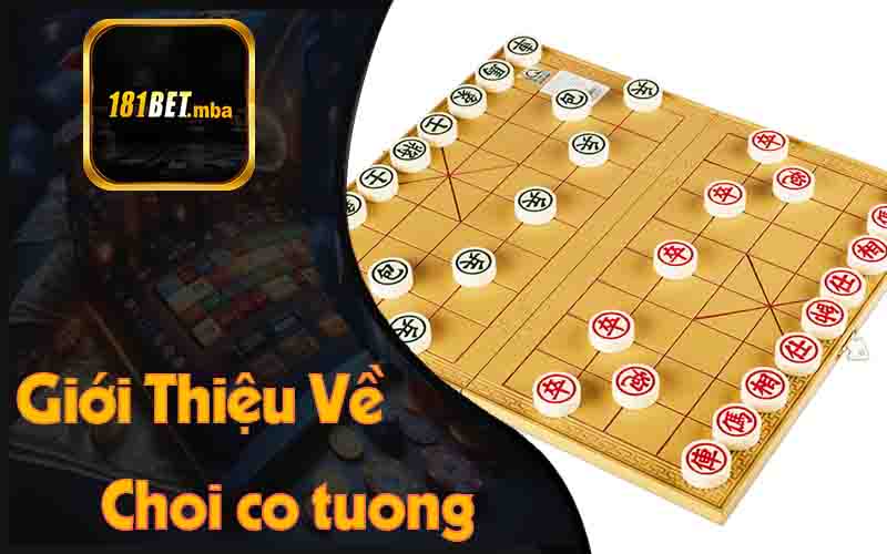 Giới Thiệu Về Choi co tuong 